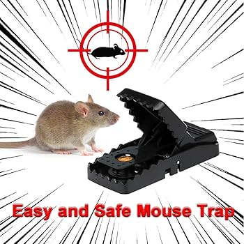 Heavy Duty Mouse Trap 🐭🔒 Durable Plastic Catcher
